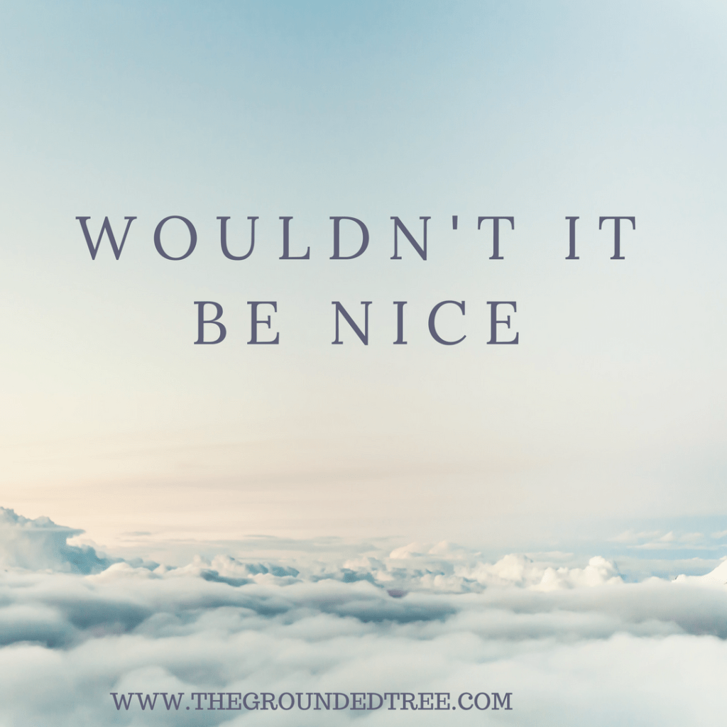 Law Of Attraction- Wouldn’t It Be Nice&nbsp;Technique