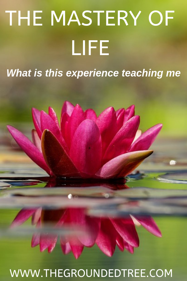 The Mastery Of&nbsp;Life