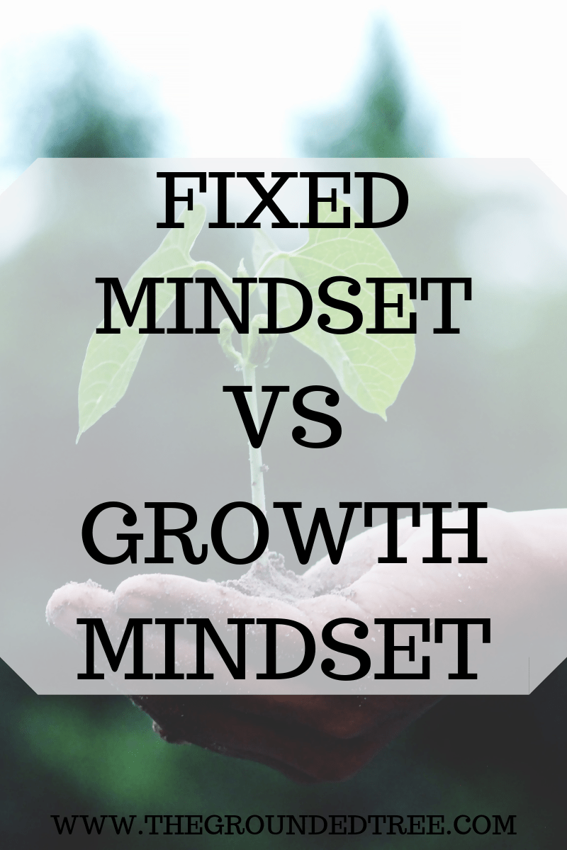 FIXED MINDSET VS GROWTH&nbsp;MINDSET