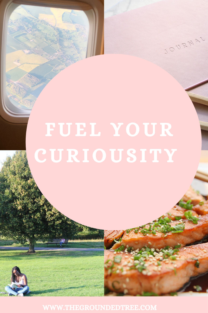 FUEL YOUR CURIOSITY